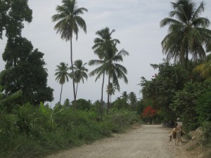 Alrededores de Jean Rabel