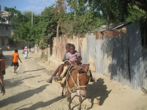 IMG_0076[1]