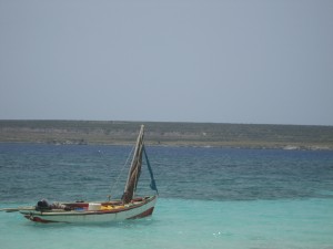 IMG_0674
